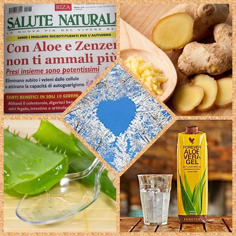 aloe zenzero.jpg